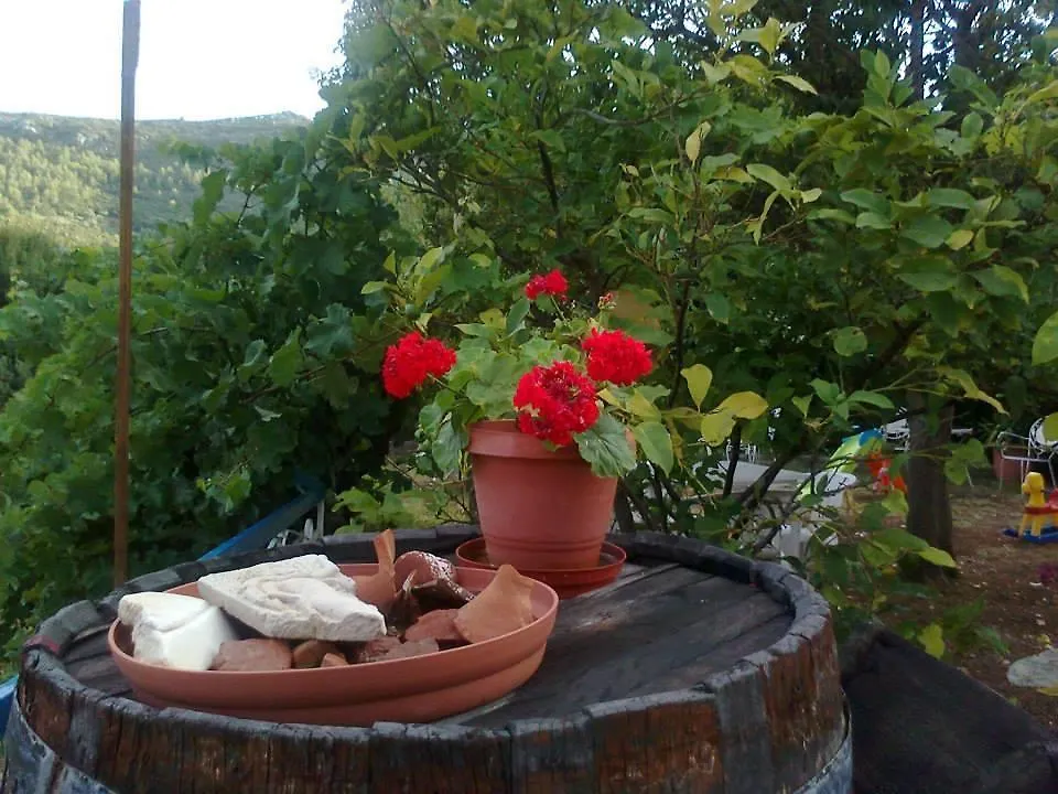 Guest house El Capitan Hotel Porto Koufo